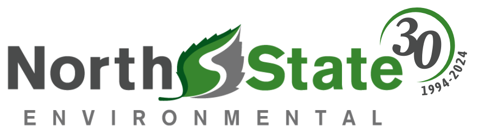 NSE 30 Year Anniversary logo